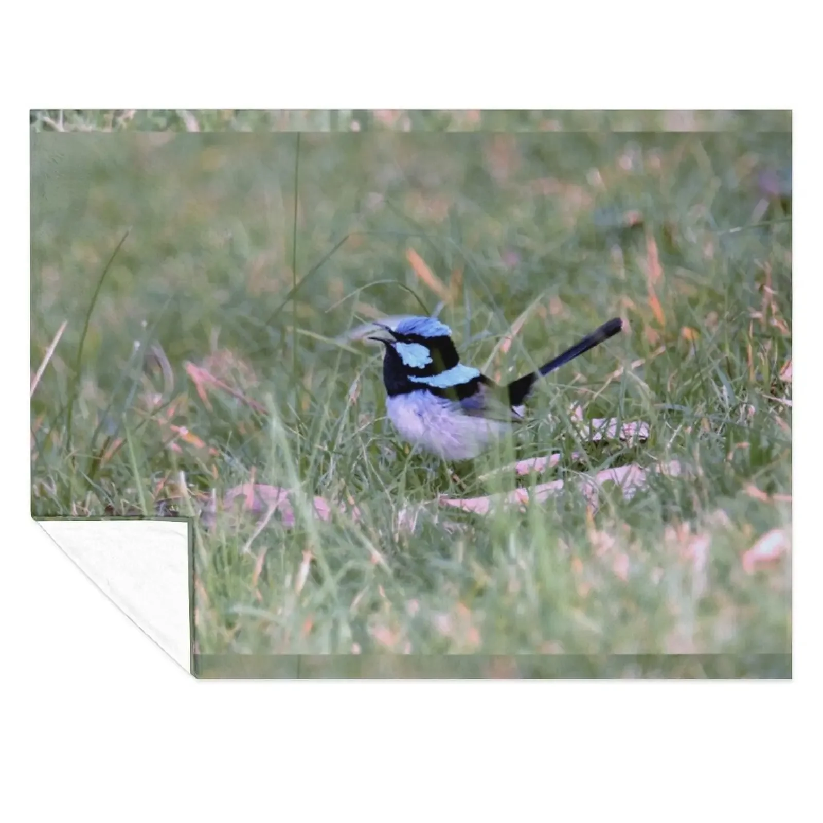 

Beautiful Little Superb Fairy-Wren Throw Blanket Bed Decorative Sofa Sofa Quilt funny gift Blankets