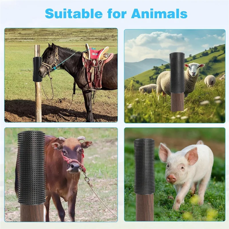 【Popular】2 Pcs Hors… - image