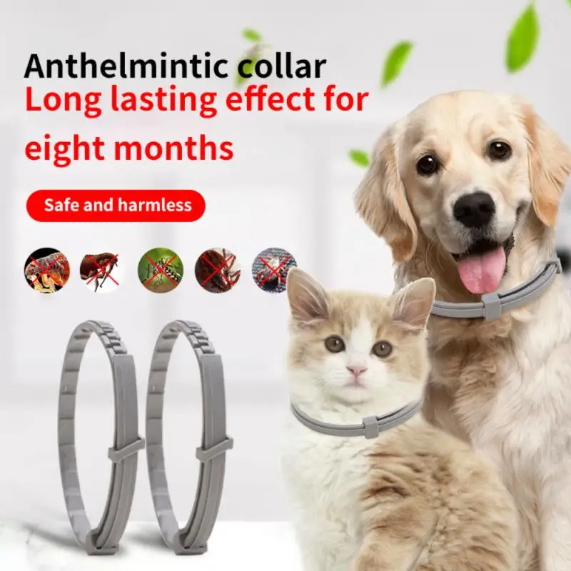 Pet Dog Cat Anti Flea And Tick Collar 8Month Protection Adjustable Pet Collars Necklace For Puppy Cat Large Dogs Accessories