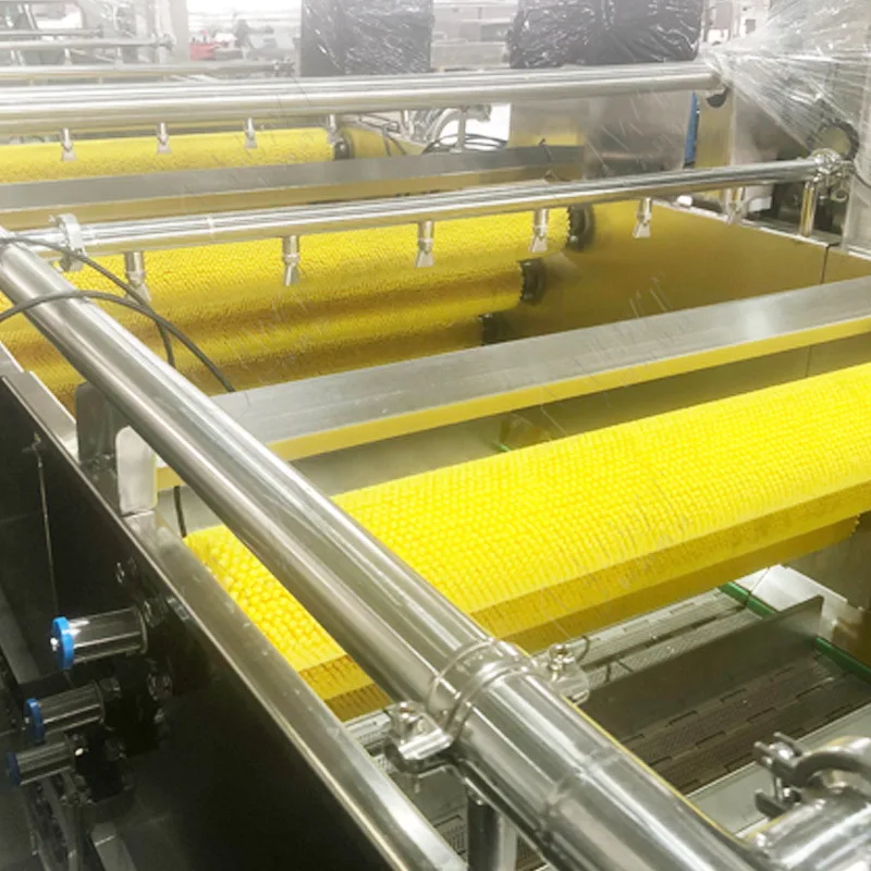 Bubble, washing machine, fruit and vegetable, spray, with lift, fruit washing machine