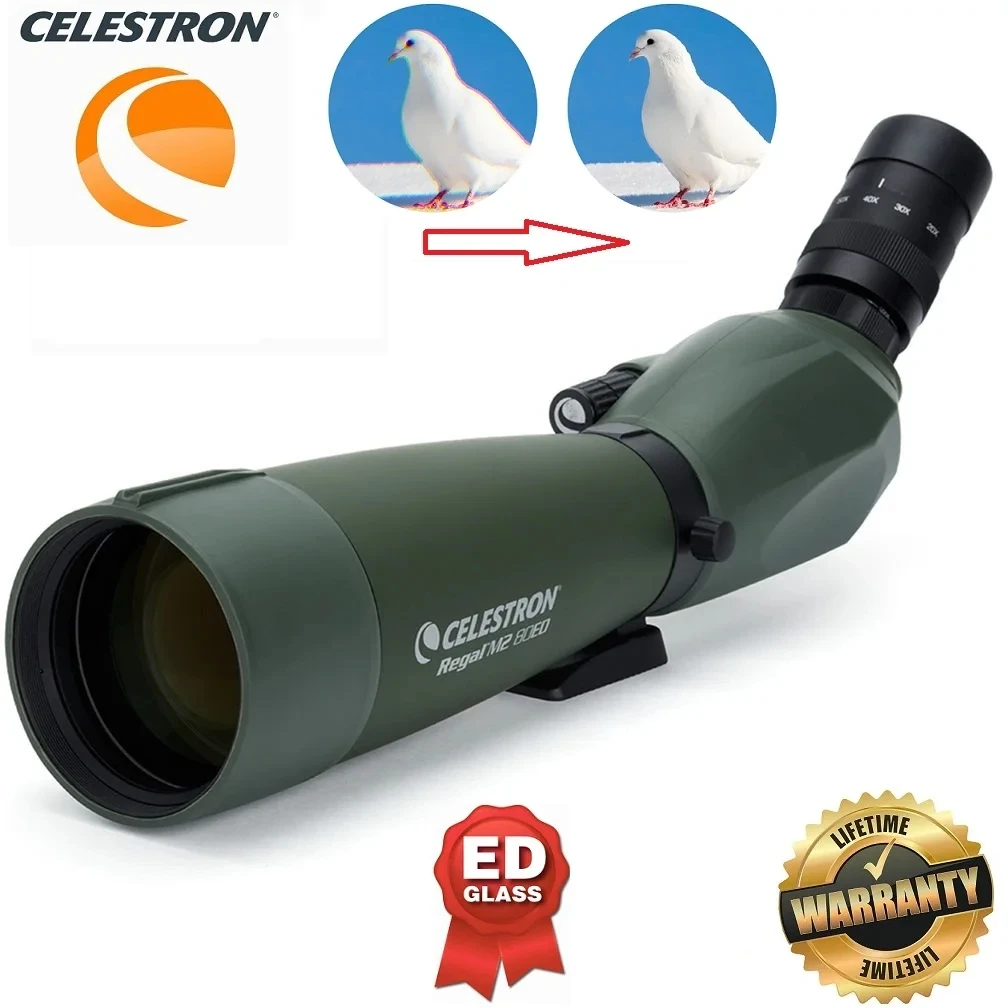 

Celestron Regal M2 80ED Spotting Scope 20-60x Zoom Monocular ED Objective Lens For Bird Watching, Hunting and Digiscoping#52305