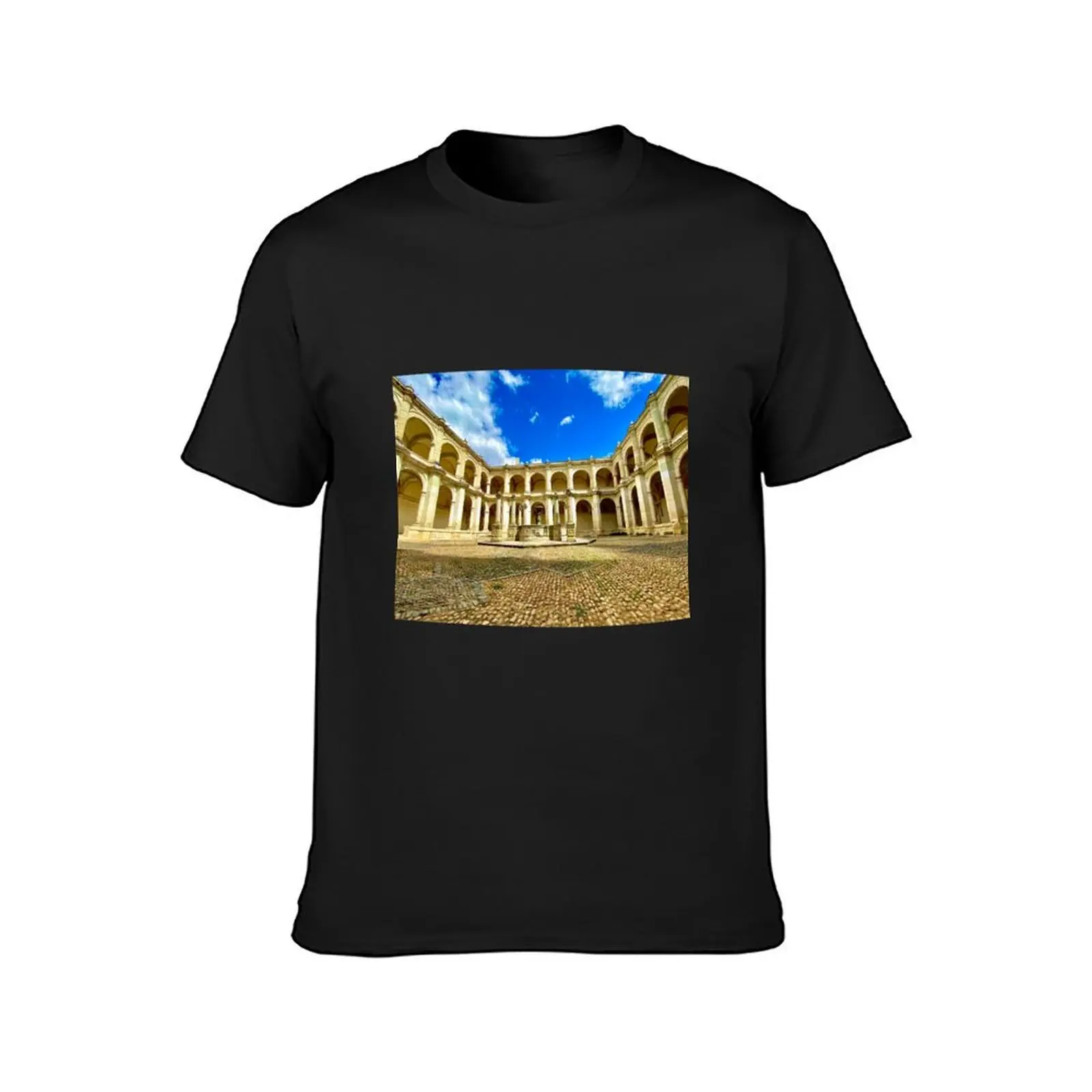 Baroque art inside the Museum of Cultures in Oaxaca T-Shirt oversized vintage quick drying men clothing