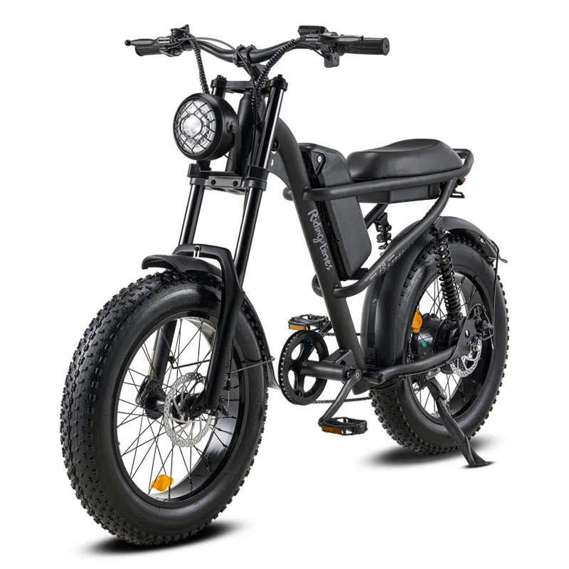 elektro velosiped 20 inch 48v 500W fatbike Z8 lady electric bicycle with full suspension