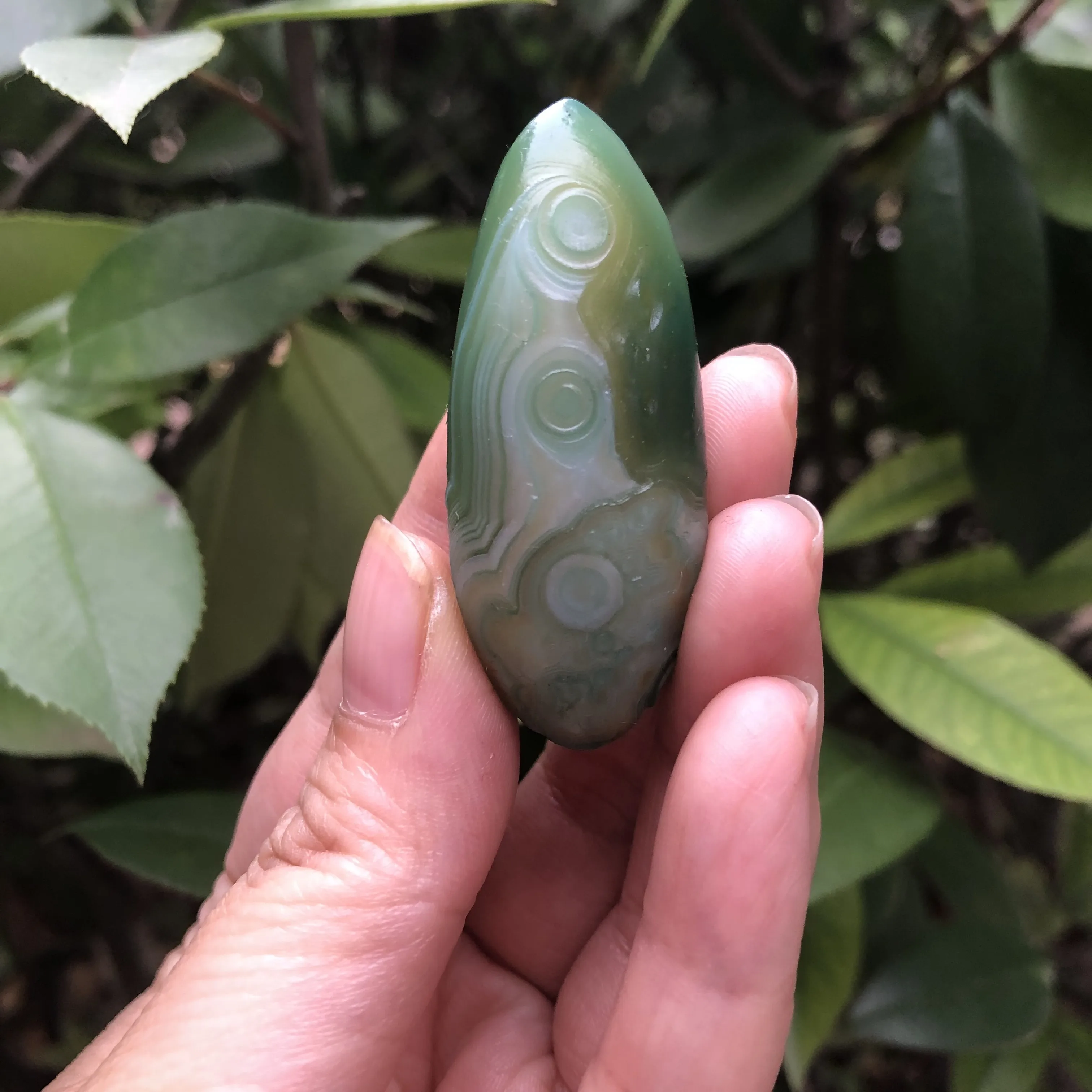 

24G/50.5*18.7*20.1MM ​Natural Outer Mongolian Eye Stone Flower Eye Agate Relief Shallow Surface Green Gems About To Disappear