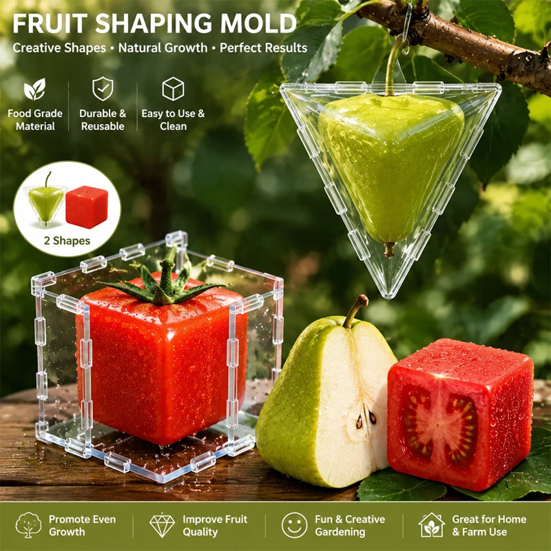 Mini Reusable Tomato Shaping Mould Transparent Plastic Strawberry Plum Fruit Growing  Sculpture Home Garden DIY Styling Tool