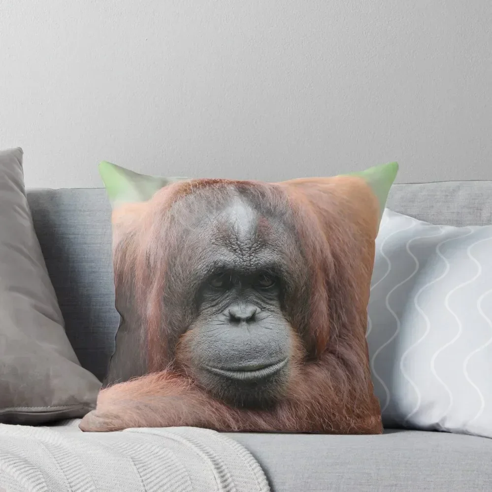 Orangutan Throw Pillow Christmas Pillows Christmas Cushion For Home Decorative Cushions For Luxury Sofa pillow