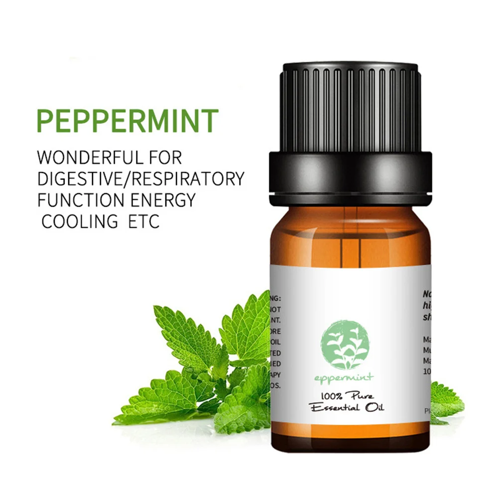 6 قطعة مجموعة الزيوت الأساسية الطبيعية الروائح الناشر كاتب كيت الاسترخاء النوم العناية بالبشرة شجرة الشاي الخزامى البرتقالية #5