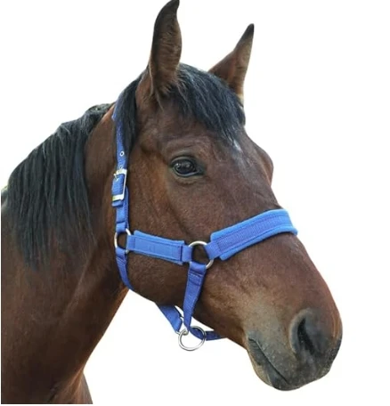 

Adjustable Horse Halter with Polar Fleece Lining Equestrian Riding Headstalls with Satin Hardware