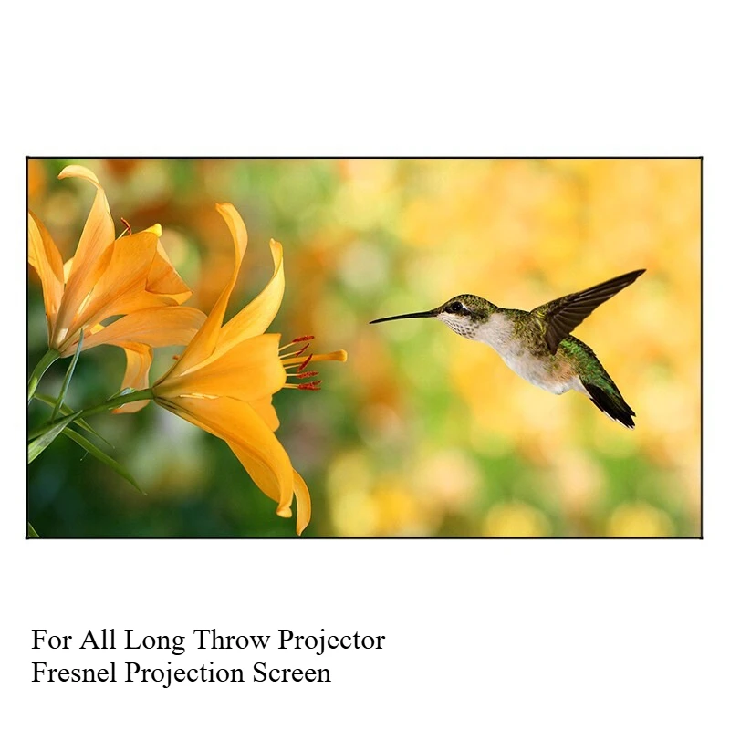 

Best 72-120 Inch Fresnel Projector Screen for Long Throw Projetor,Ambient Light Rejection,4K 3D Ultra-Thin ALR Screen no Frame