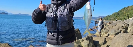 구매후기