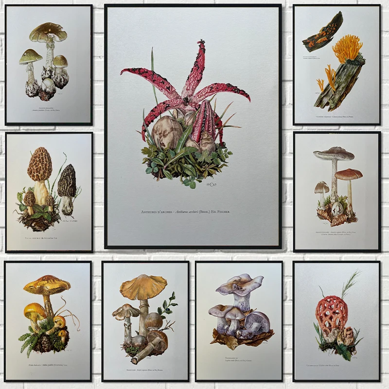 Vintage Natural Sciences Biology Spore Poster Mushrooms Illustration Canvas Painting Antique Wall Art Laboratory Room Home Decor