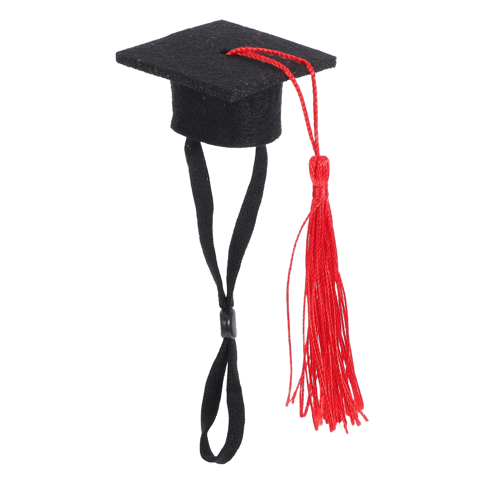 

Hamster Hat Has Cute Dress Parrot Dog Graduation Cap and Gown Child