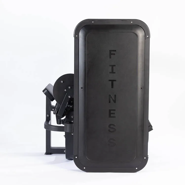 الصين مصنع معدات الصالة الرياضية ASJ-ZM007 المهنية معدات اللياقة البدنية دبوس تحميل تدريب القوة تمديد الظهر