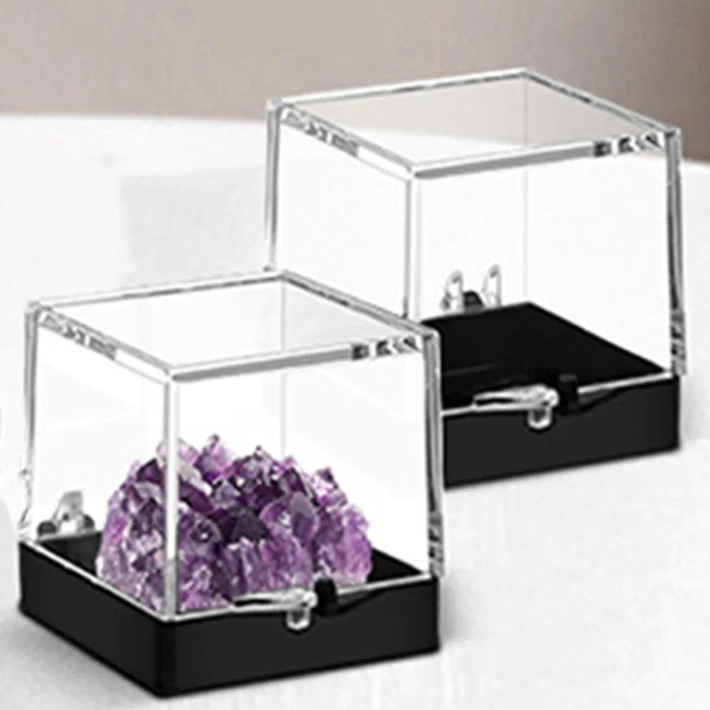 

4Pcs Mineral Specimen Display Box Clear Stone Collection Organizer Durable Plastic Large Capacity Aesthetic Design for Home