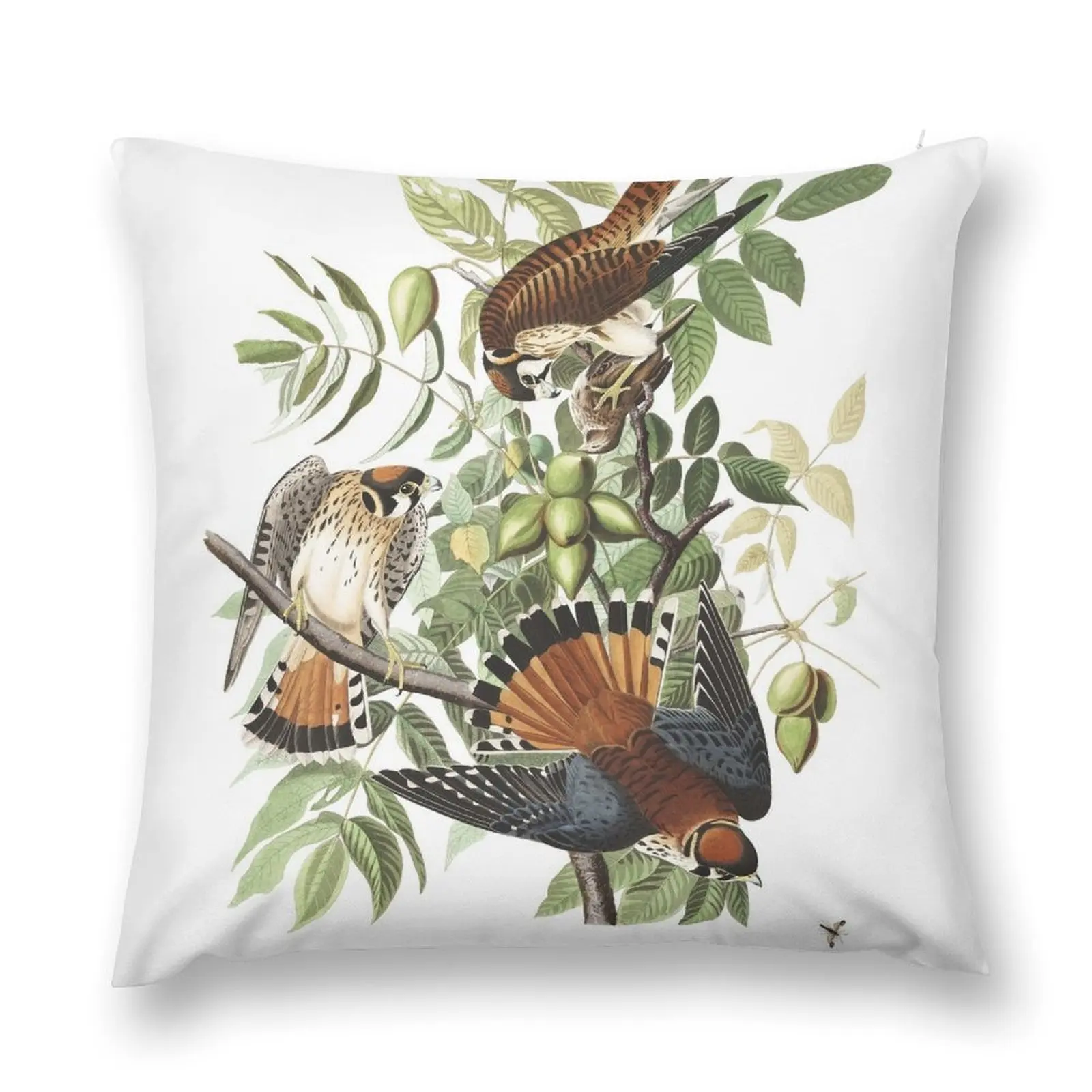 American Kestrel - John James Audubon Throw Pillow christmas pillowcases christmas decorations 2025 Cushions For Children pillow