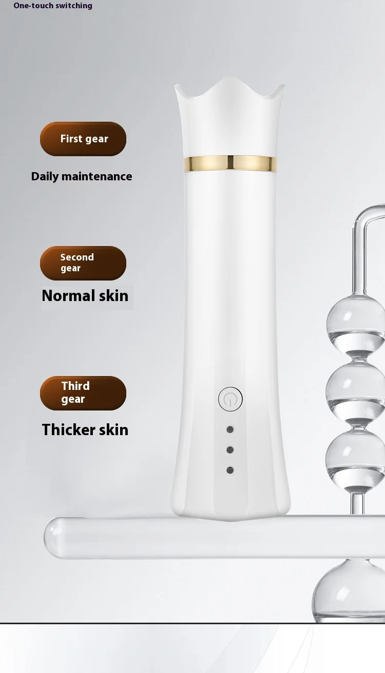 Appareil de miles Portable pour Nettoyage et Hydratation du Visage