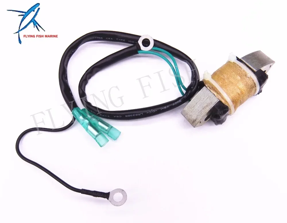 

Boat Motor T40-05040008W Lighting Coil for Parsun HDX 2-Stroke T30FW T40FW Outboard Motor Electric Start