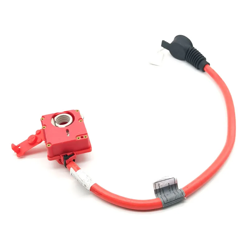 Positive Battery Cable Replacements 61129217035 61129217036 for BMW 5 Series F07 535i 550i