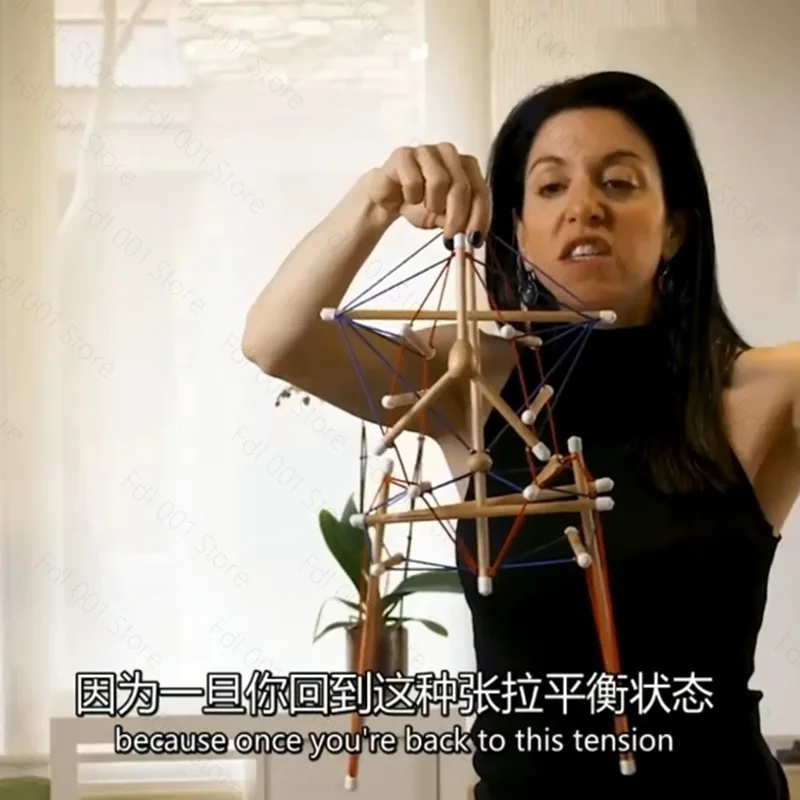 Spinal and Pelvic Tensioning Whole Model Structure Fascia Tensioning Body Teaching Tool Demonstration Dynamic Axis Anatomy Train