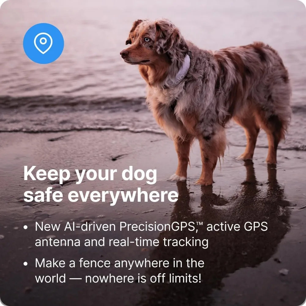 GPS Dog Fence - Multifunction Wireless Dog Fence & Training Collar with Real-Time Tracking & GPS - Waterproof, Instantly Create