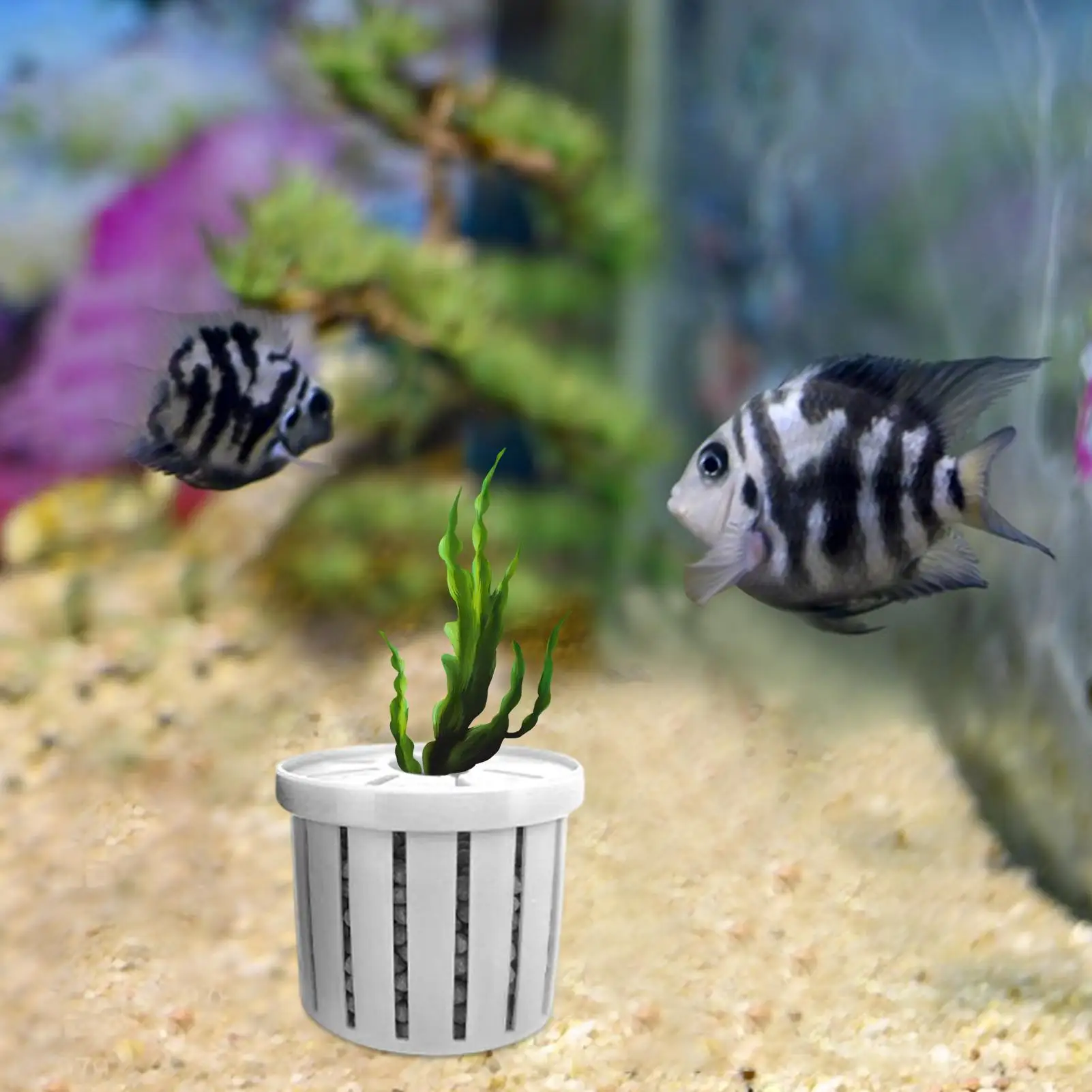 Aquarium Plant Holder 4 Pieces Aquatic Plant Holder Stable Porous Pot Planting Basket For Landscape Decoration Window Pond