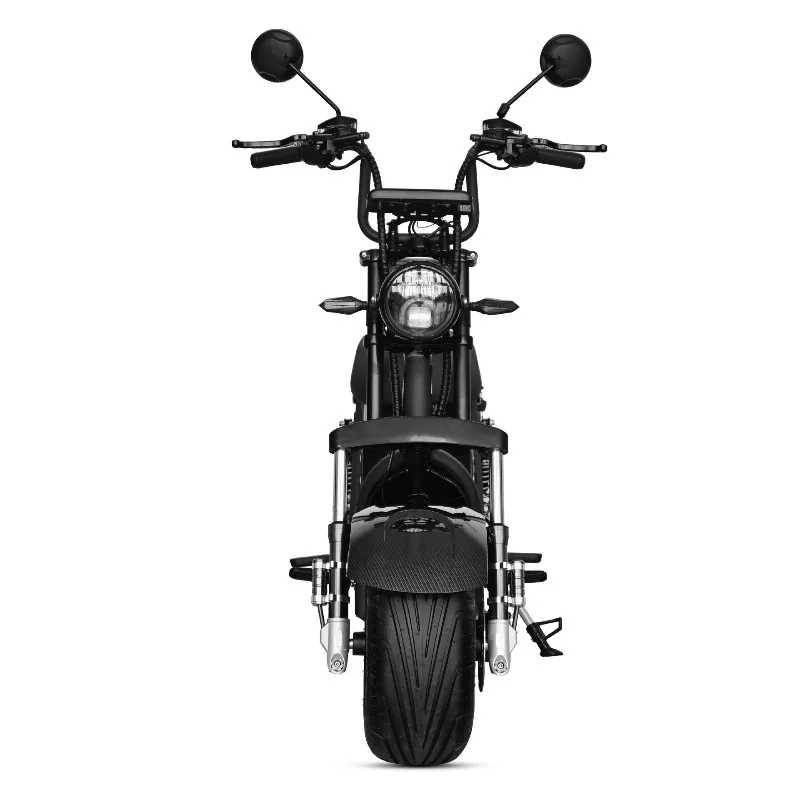 2000W Adult Electric Vehicle 60V 20A Detachable Lithium Battery Electric Scooter Commuting E‑bike Wide Fat Tire Design