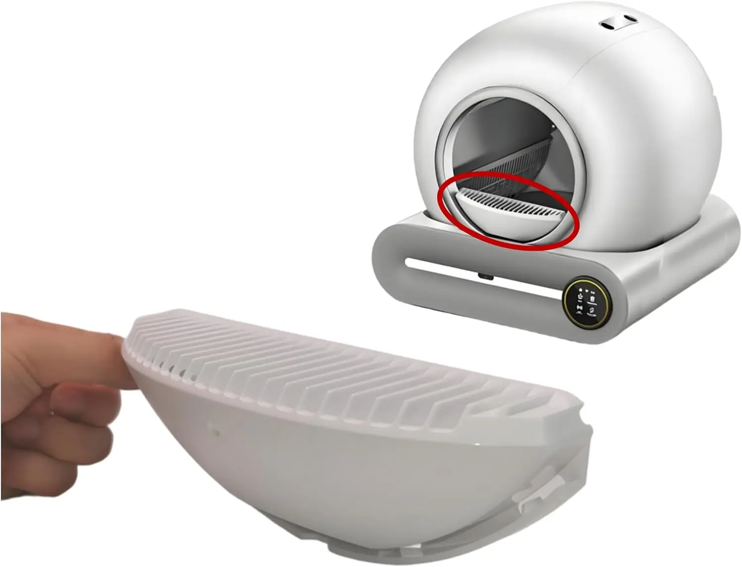 yZ[zLgCANZT[A߁AZtN[jOgĈl㏸́AfF65L[rp