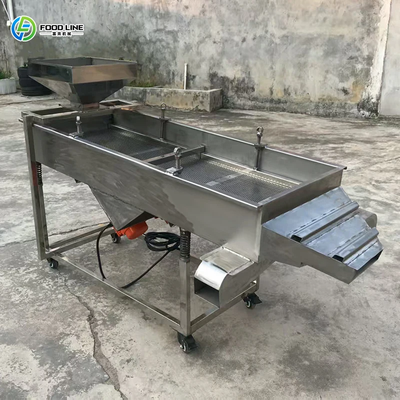 Customized Fully Automatic Cocoa Beans Roasting Machinery Professional Coffee Bean Roaster Machine