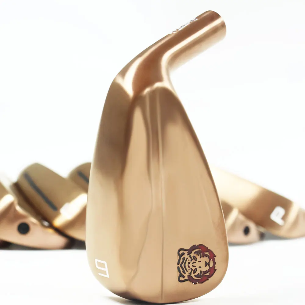 Golf Irons Head Men… - image