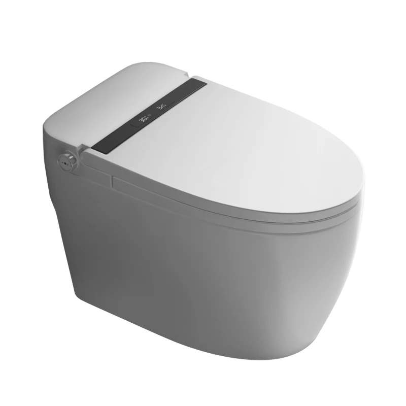 

(ST-3200) Intelligent Sanitary Ware Automatic Inductive Bathroom Smart Toilet with Remote Control