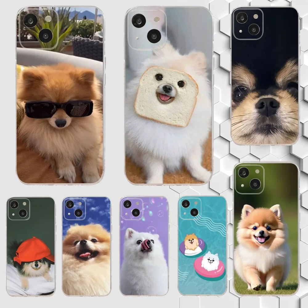 Cute Pomeranian Dogs Phone Case For iPhone 15,14,13,12,11 Plus,Pro,Max,XR,XS,X,7,8 Plus,SE,Mini Transparent Silicone Soft