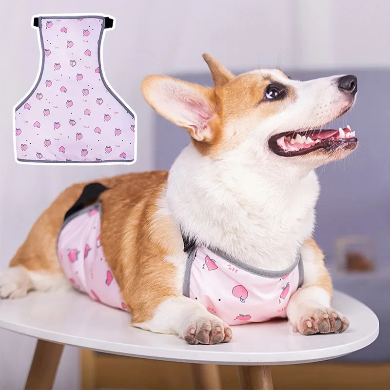 Corgi Special Apron Waterproof Anti-dirty Dog Summer Stomach Protection Anti-cold Small Dog Clothes Corgi Clothe Pet Clothes