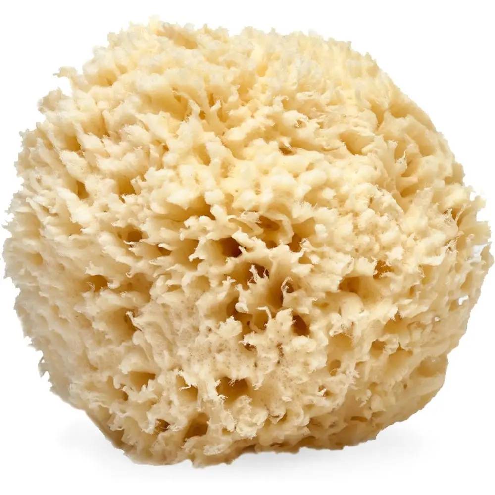 

Натуральная морская губка из шерсти, 5-6 дюймов - Органическая отшелушивающая мочалка для тела - Мягкое очищение - Гипоаллергенная - Для всех типов кожи - l