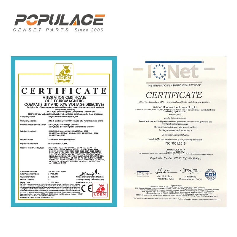 POPULACE CE Factory Generator Ersatzteile R180 Zubehör Bürstenloser automatischer Spannungsregler AVR R180 für Dieselgenerator