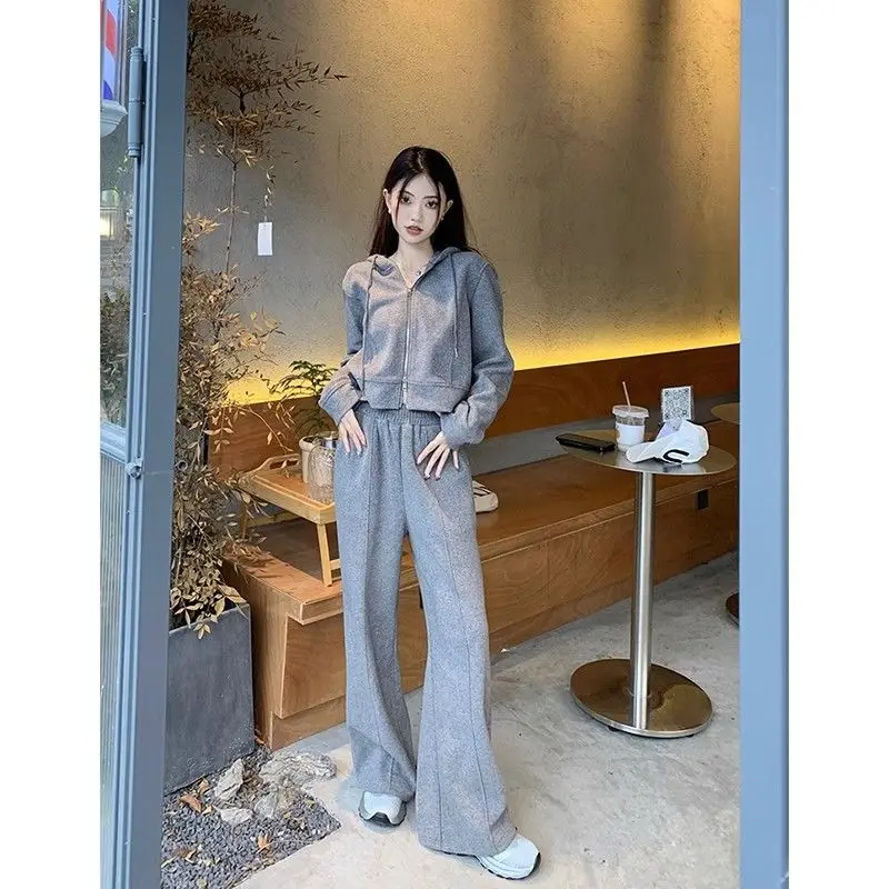 Korean Style Autumn New Grey Hooded Top Thin Jacket Wide Leg Pants Two-piece Set Women\'s Pants Set Sports Suit