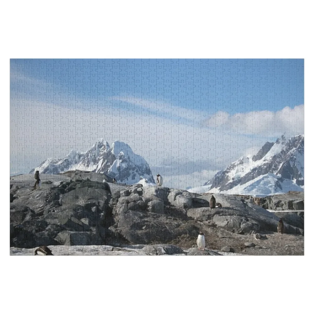 

Gentoo penguins on Petermann Island Jigsaw Puzzle Custom Jigsaw Personalized Baby Toy Puzzle