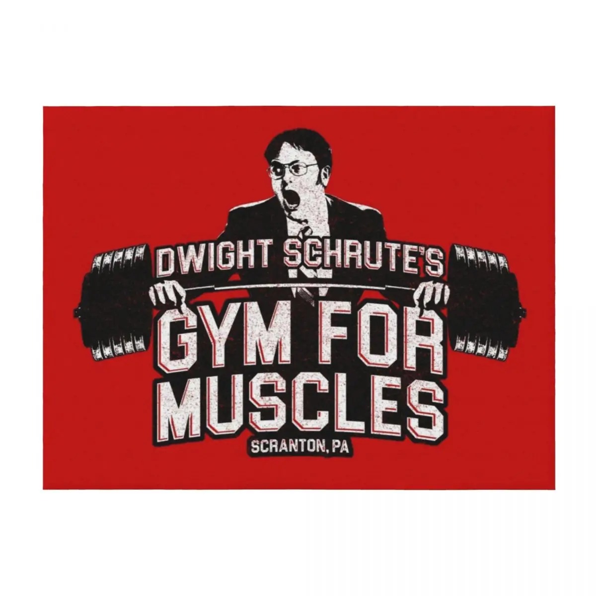 

Dwight Schrute's Gym For Muscles Throw Blanket Thermal Furry Camping For Decorative Sofa Blankets