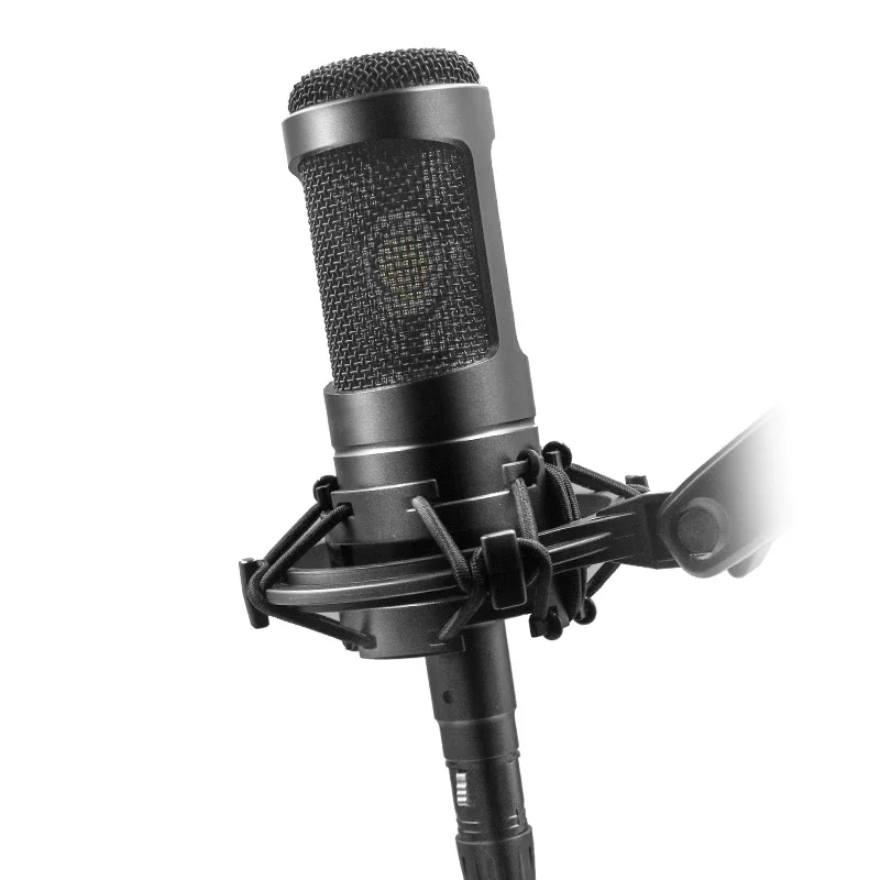 AT2035 Cardioid Condenser Microphone Professional Studio Recording Audio with Wide Dynamic Range AT-2035