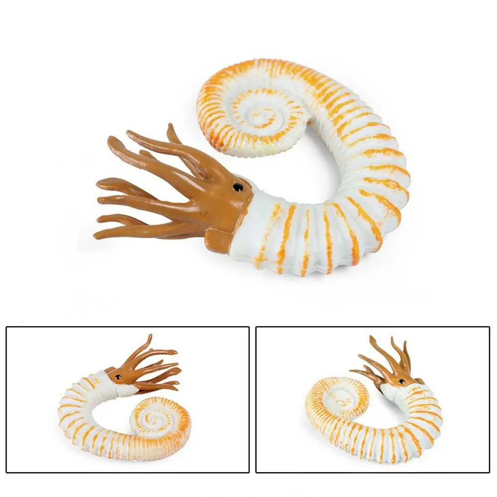 

Prehistoric Ocean Animal Figure Simulation Nautilus Marine Life Figurines Ancient Anomalocaris Trilobite Figure Collection