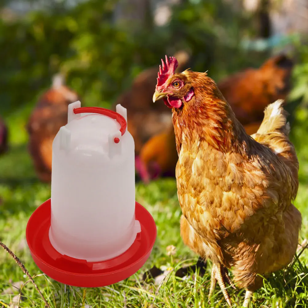 Abreuvoir automatique pour poulets 3L et ensemble d'alimentation de 3Kg, seau d'abreuvoir suspendu pour volaille pour poules, canards, caille