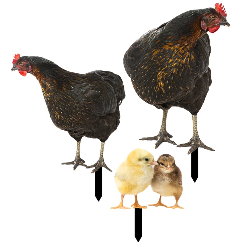 Garden Decorative Inserts Realistic Chicken Rooster naments Compact Lightweight Yard Stake Festive Atmosphere Lawn Animal