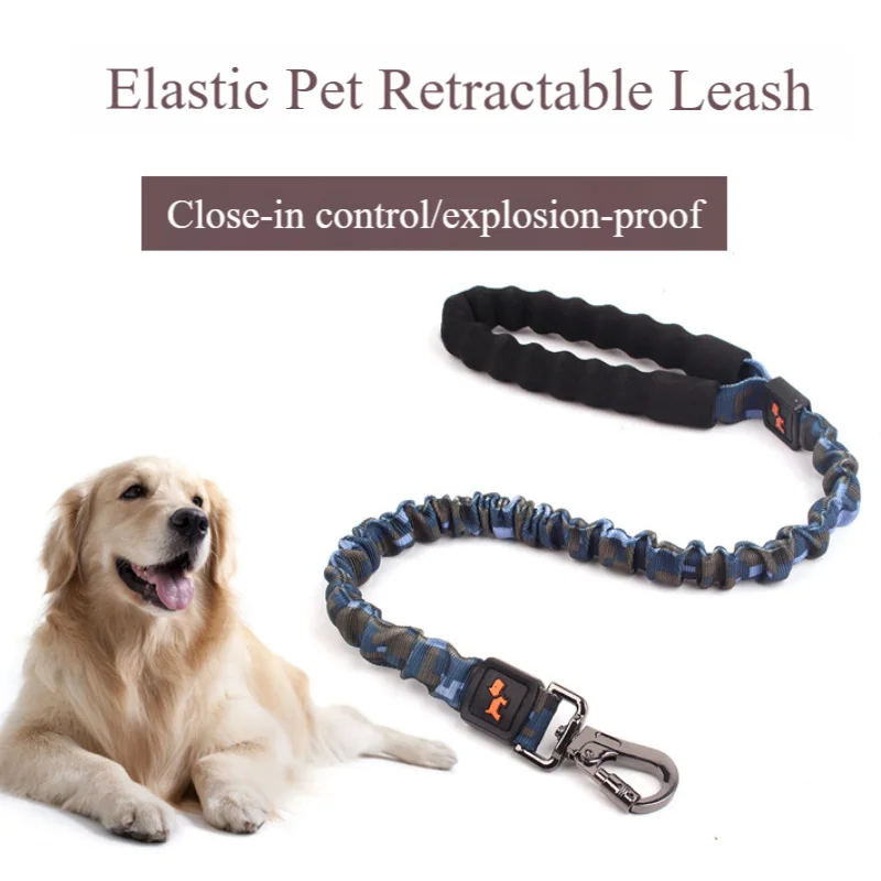 Large Dog Bungee Leash, Strong Nylon Elastic Lead with Shock Absorbing Stretch for Golden Retrievers, Labradors, Daily Walking