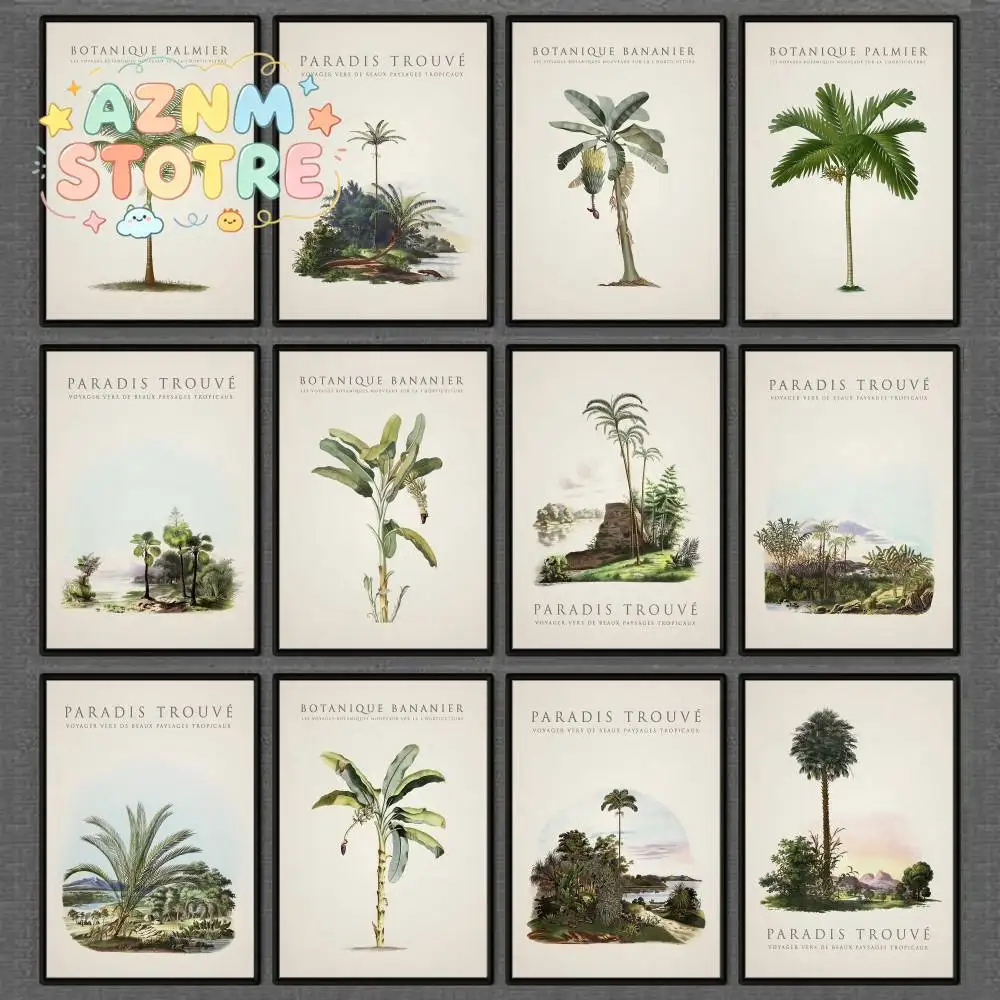 Tropical Palm and Banana Tree Poster Vintage Botanical Prints Picture Island Wall Stickers Paintings Home Living Room Decor