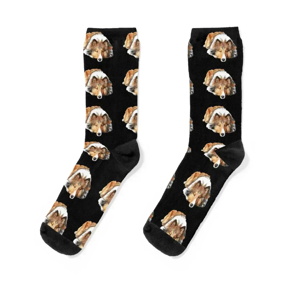 

Rough Collie Socks essential Wholesale Argentina happy Mens Socks Women's