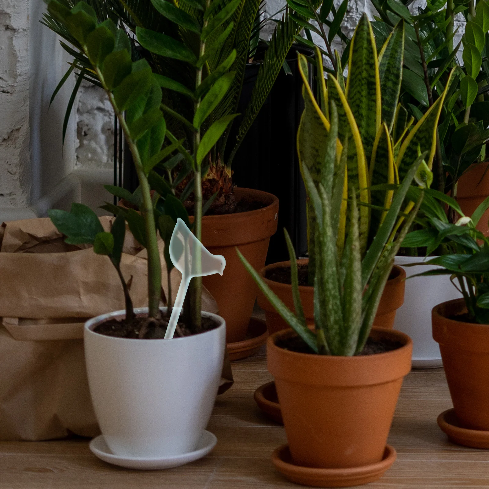 

5Pcs Automatic Spikes Plant Self System for Indoor Outdoor Garden Plants Garden Tool Winter Plant Waterer