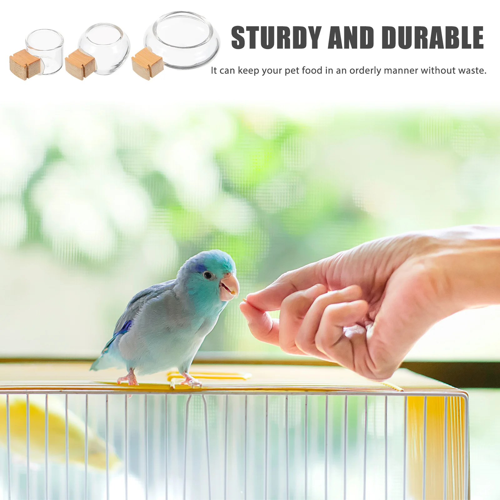 

3Pcs Bird Food Bowl Bamboo Stick Fixation Splash Proof Design Parrot Water Feeder Small Birds Bird Food Bowl Parakeet Feeder