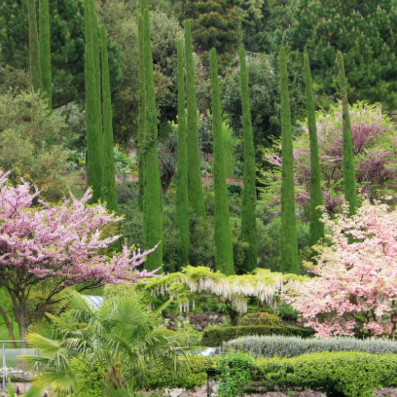 

MJX JJRC 1:14 1:16 14301 14302 14303 Remote control car metal upgrade accessory 4pc aluminum alloy 12mm hexagonal connector