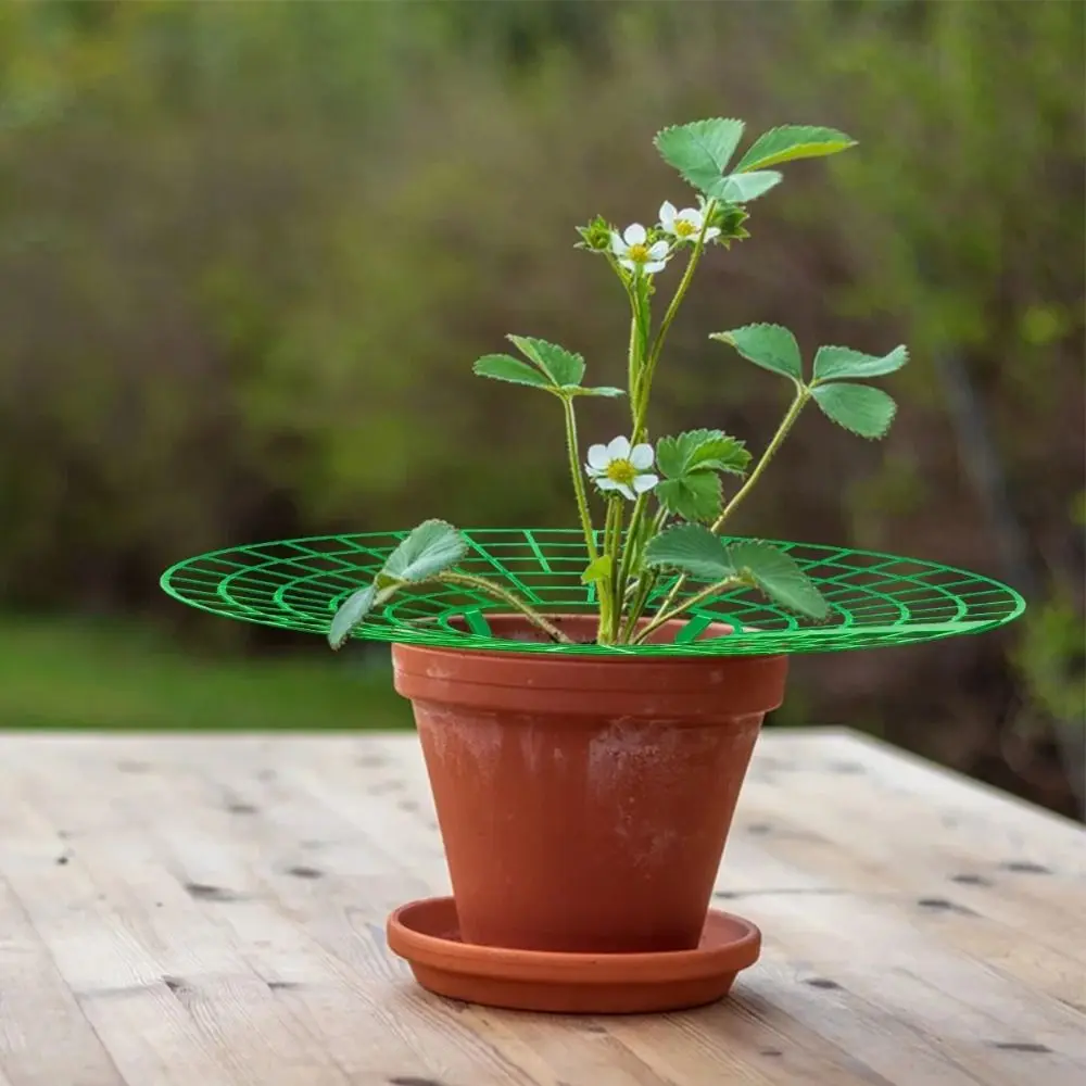 1/3Pcs Round Strawberry Stand Anti-corrosion with Three Sturdy Legs Strawberry Cradle Support Anti-ground Plant Tray Stand