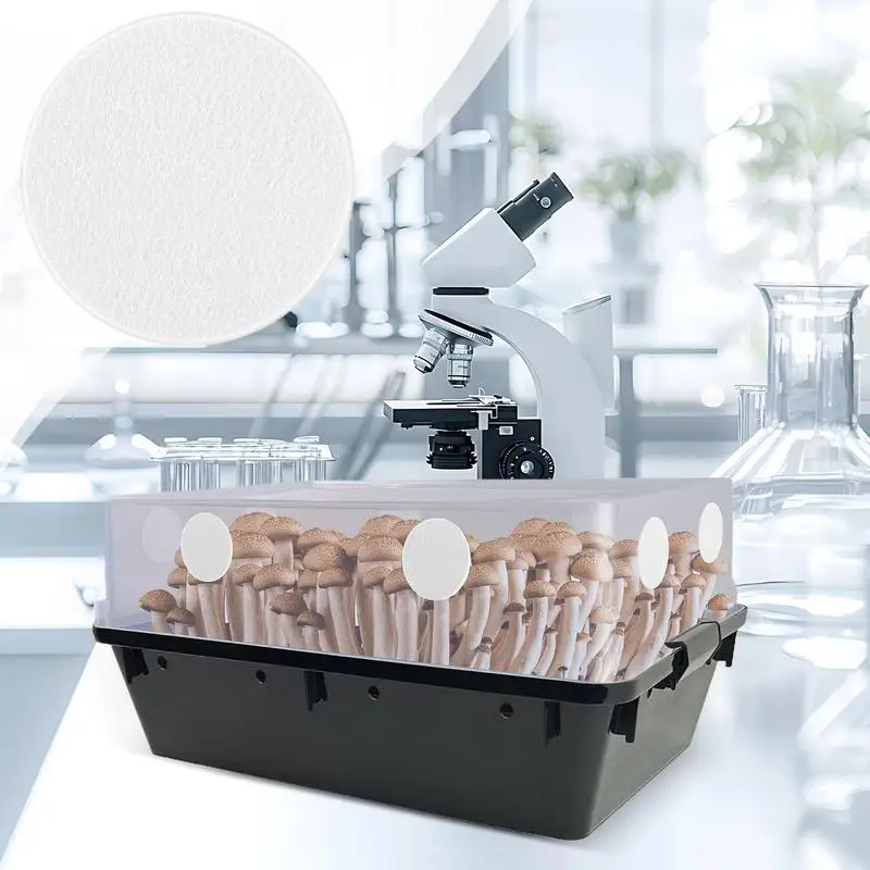 Dischi filtranti adesivi Monotub Sostituzioni del tampone filtrante per la coltivazione dei funghi Adesivo per la filtrazione Forniture per la coltivazione di ricambio
