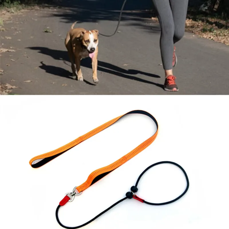 Training Dog Choking Rope Leash 2 in 1 Lead Collar 150cm P-Shaped Chain Slip Lead Control Leash for Small Large Competition Dogs
